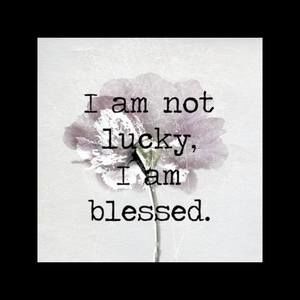 Meet your Posher, Molly